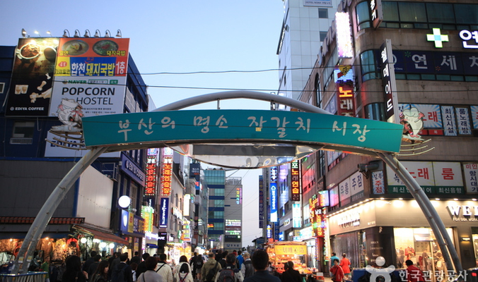 이미지 6