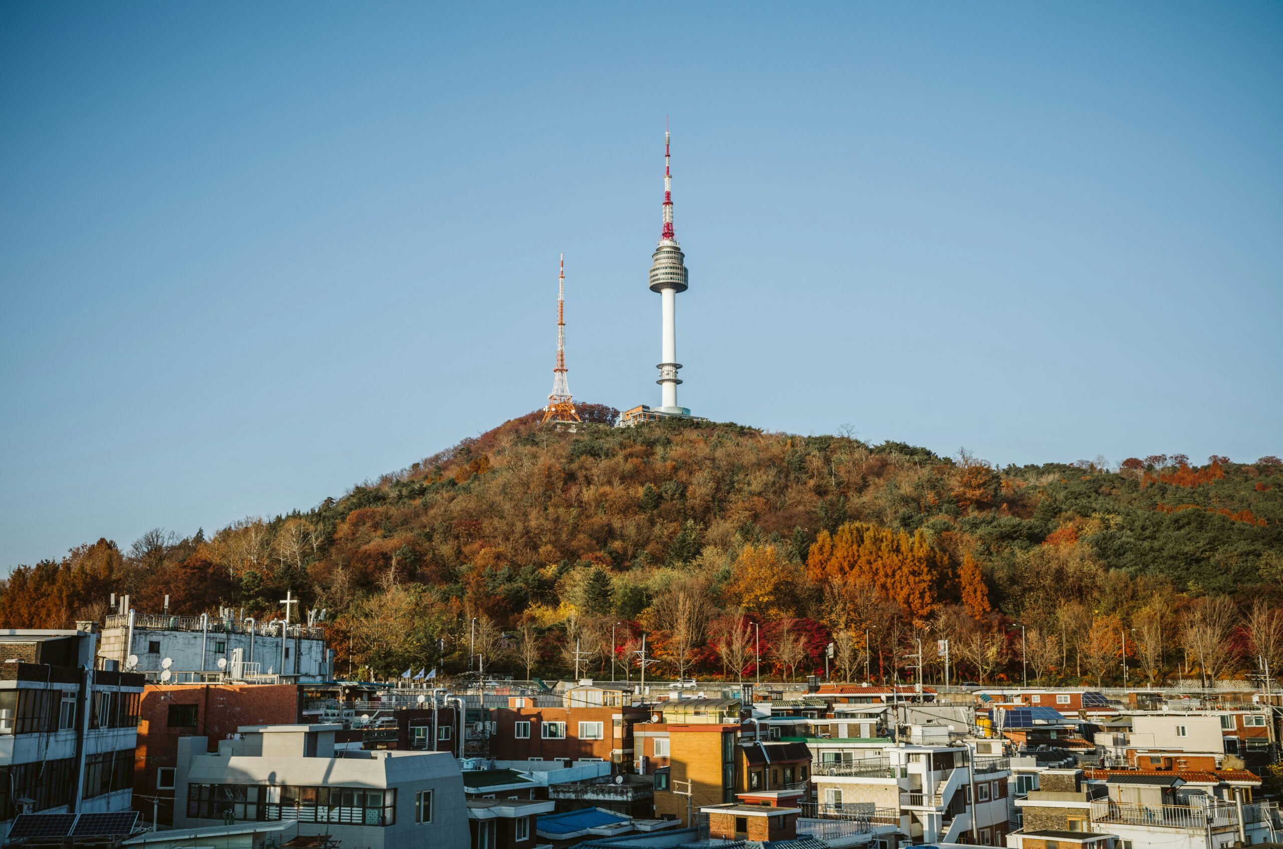 이미지 5